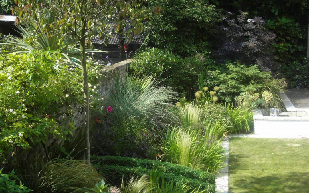 Contemporary Borders Garden Design